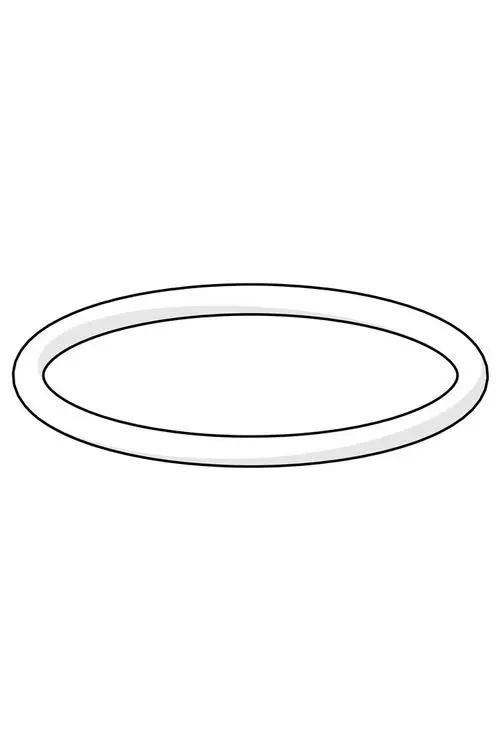 O-Ring in ovaler Form, mit einer fortlaufenden Außenseite, präsentiert auf hellem Hintergrund. Marke: HANSA.